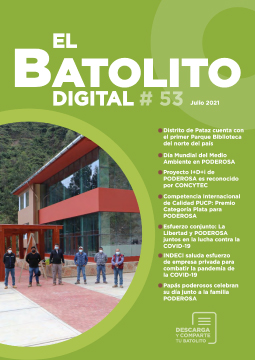 Batolito 60