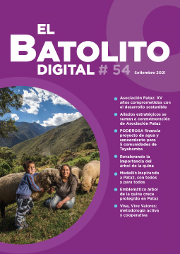 Batolito 54
