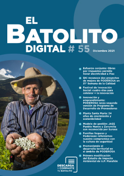 Batolito 60