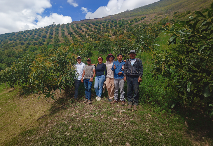 Poderosa y Danper fortalecen capacidades de productores de Chuquitambo para la exportación de palta Hass