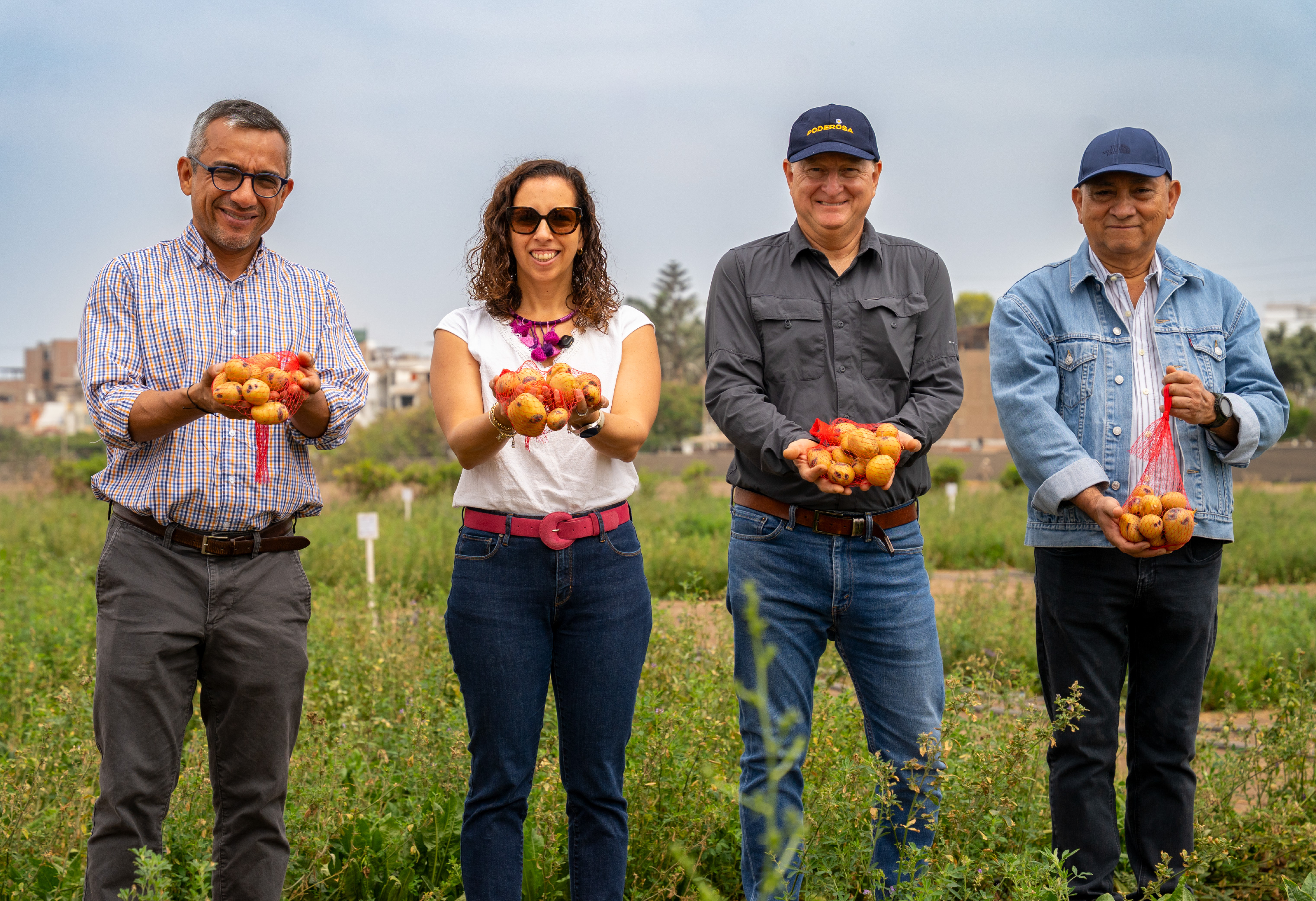 CIP demuestra avances técnicos en agricultura regenerativa junto a Poderosa y Asociación Pataz