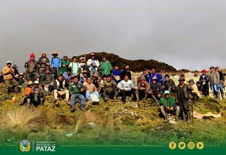 Pataz: trabajo conjunto en forestación de 100 mil plantones de pino