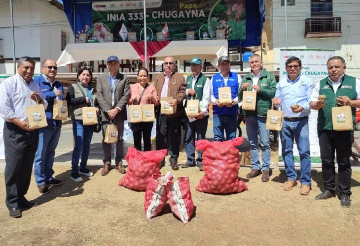 Poderosa promueve nueva variedad de papa resistente a las heladas