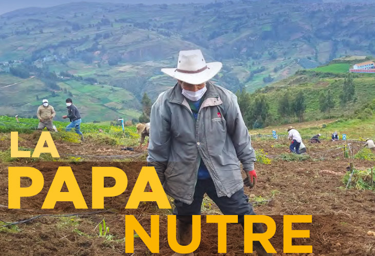 Saludo día de la Papa